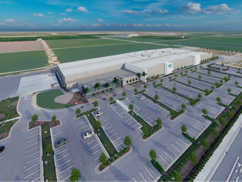 Blue Diamond Growers