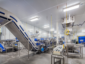 Lobster Processing Facility
