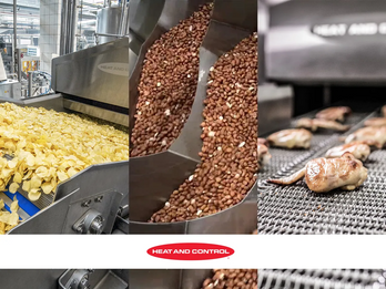 Food Processing & Seasoning Solutions