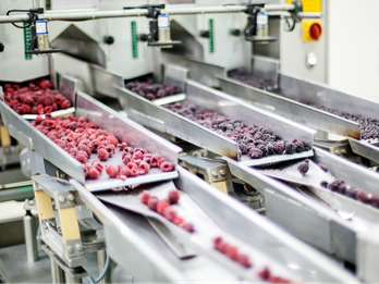 Snack Food Moisture Applications