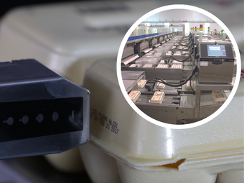 Marking & Coding Solutions for Eggs and Egg Cartons