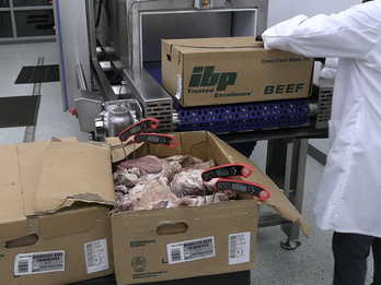Beef Trimming Explanation
