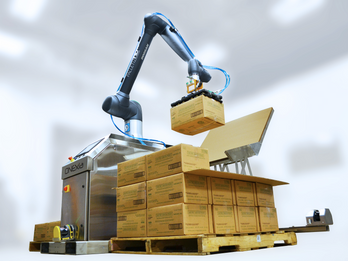 Stainless-steel cobot palletizer