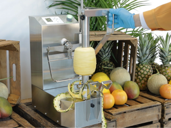 Pineapple Peeling/De-coring Machine