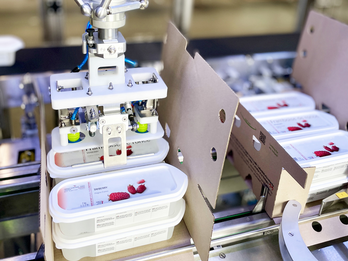 Cartoning - Case Packing