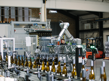 Raumland - Wine palletizing