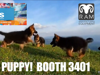 Pet a Puppy @ RAM #3401