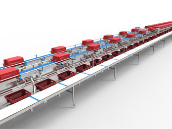 Meat Processing Cutting and Deboning line