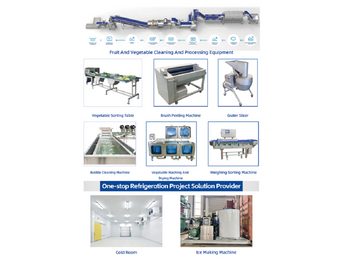 Vegetables and Fruits Washing Processing Line