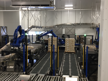 High volume robotic palletizing system
