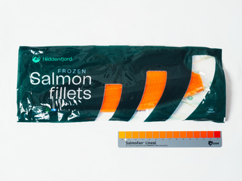 Frozen salmon fillet