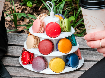 Thierry Atlan Confectionary