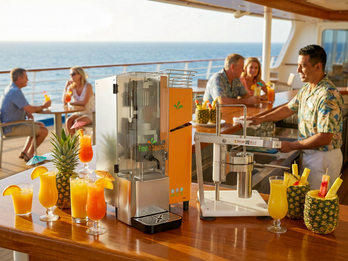 Fresh'n Squeeze 1800 Citrus Juicer