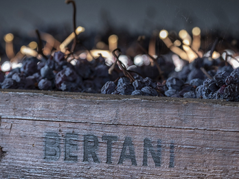 Bertani