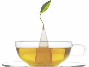 Tea Forte - Elevate the Guest Experience