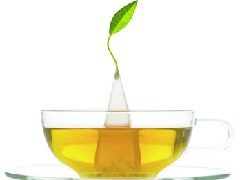 Tea Forte - Elevating The Moment