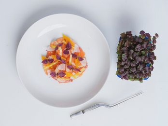 Shiso Purple Cress