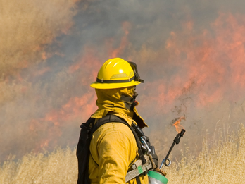 Wildfire: Wildland & Search Helmet