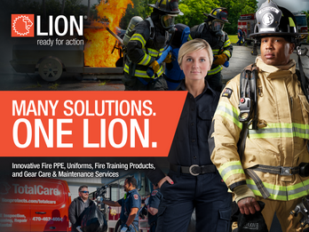MANY SOLUTIONS ONE LION