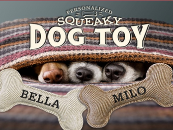 Squeaky Dog Toys