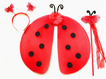 TZ0023, ladybug wing ,wand and popper