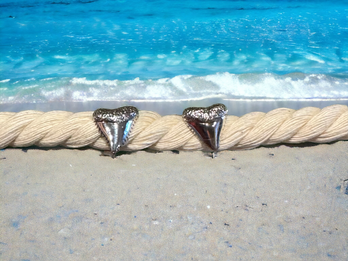 Shark tooth sterling silver earrings