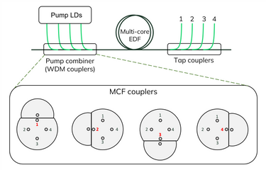 MULTI CORE FIBER COUPLERS