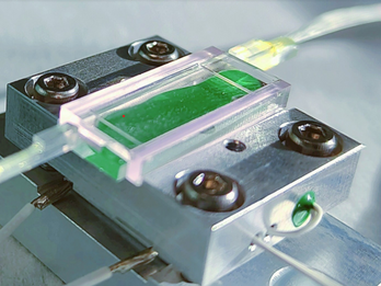 High visibility interferometer for QKD