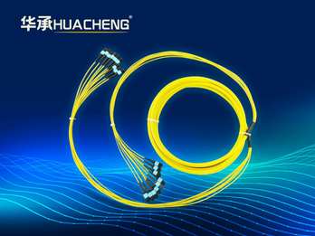 MPO Fan-out Patch Cord, 108-fiber, to 9x12-fiber MPO