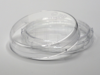 Petri Dish
