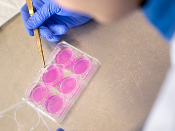 ISO 10993 & 18562 Biocompatibility Testing