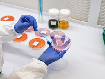 Microbiology & Sterility