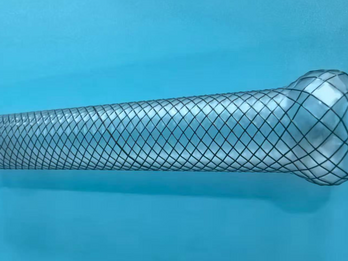 Stent Coating