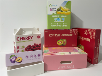 PP Corrugated Plastic Boxes