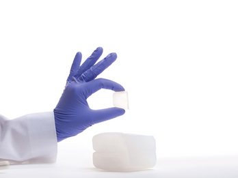 Silicone Elastomers