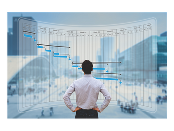 Project Management Services