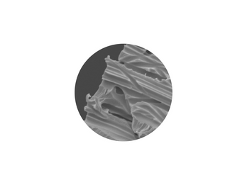 Microporous and Track Etched Roll Membranes