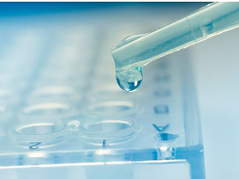 Biocompatibility Testing