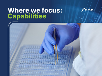 Where we focus: Capabilities