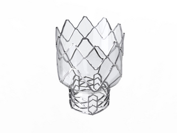Polymer Stent Coverings