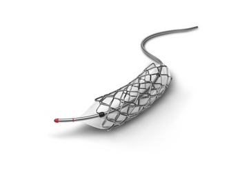 Balloon Catheters