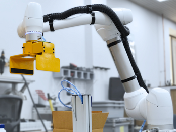 Robotic Case Packers