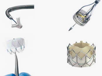 Norman Noble Heart Valve Components