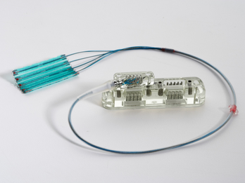 Injection Molding Services