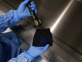 PolyCHECK® Wipers / Foreign Particle Sample Collection Tool