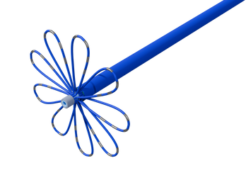 PFA Catheter
