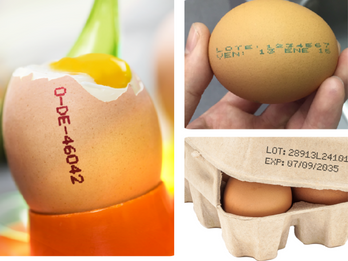 Marking & Coding Solutions for Eggs and Egg Cartons