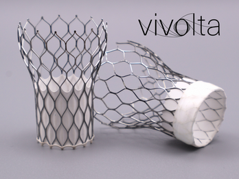 VIVOLTA electrospun coverings for cardiovascular devices