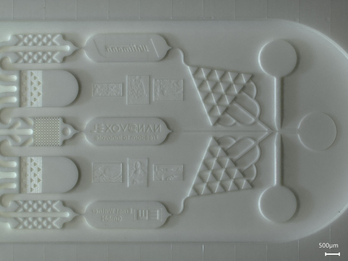 Ceramic chip with micro features