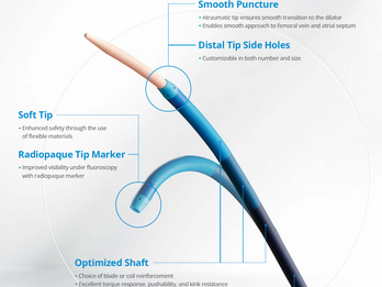 Custom Access Sheaths & Reinforced Catheter Shafts